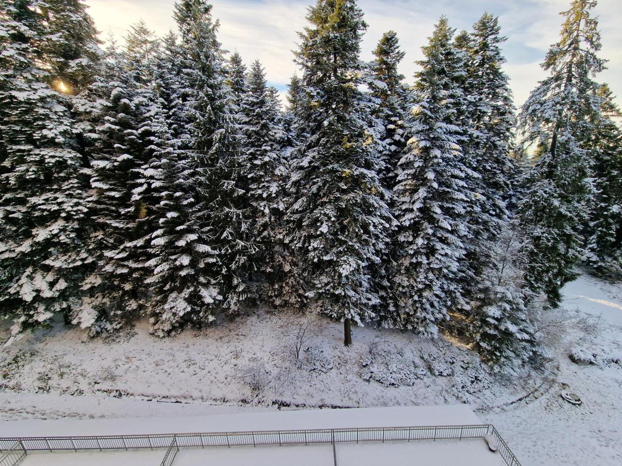 Flora Apartments Tmf Borovets Rom bilde