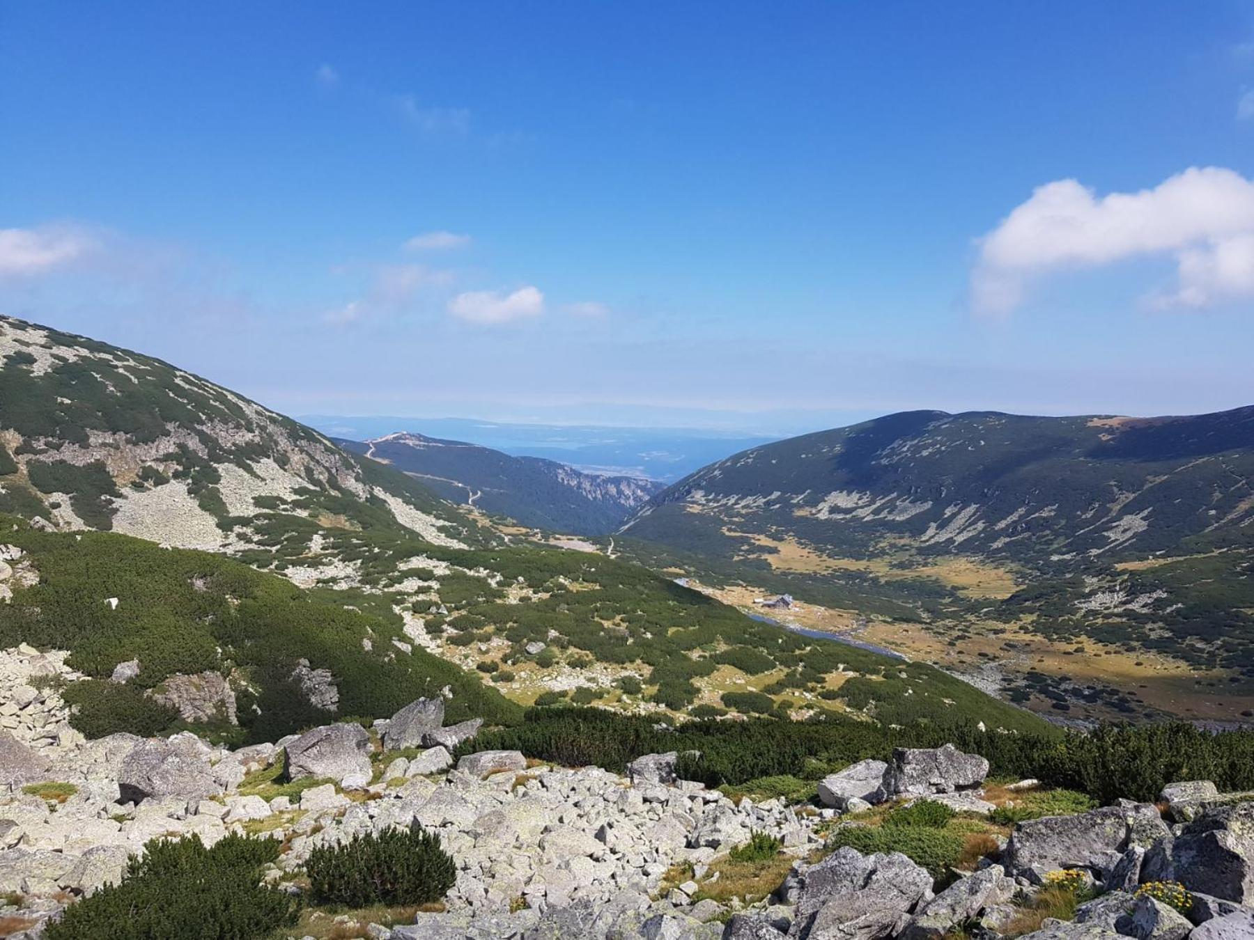 Flora Apartments Tmf Borovets Eksteriør bilde