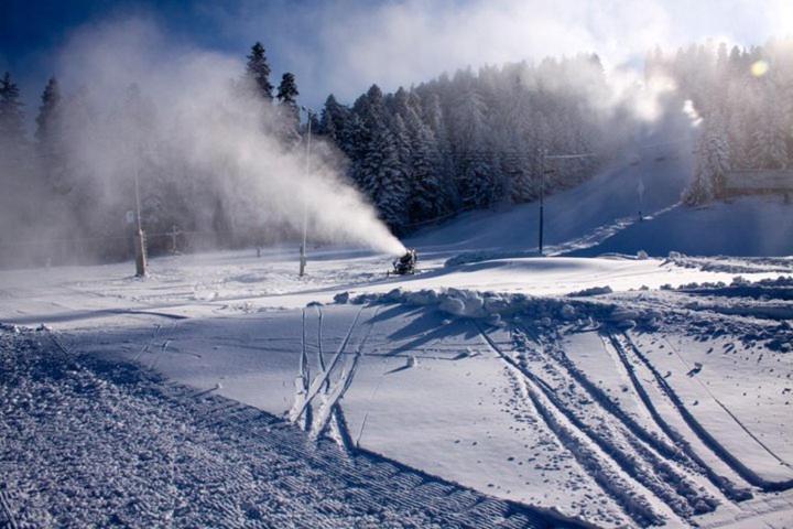 Flora Apartments Tmf Borovets Eksteriør bilde