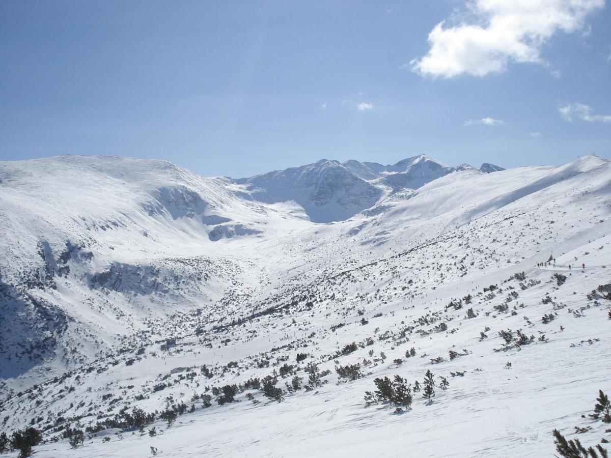Flora Apartments Tmf Borovets Eksteriør bilde