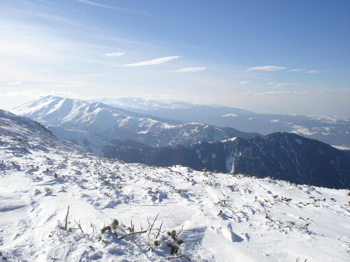 Flora Apartments Tmf Borovets Eksteriør bilde
