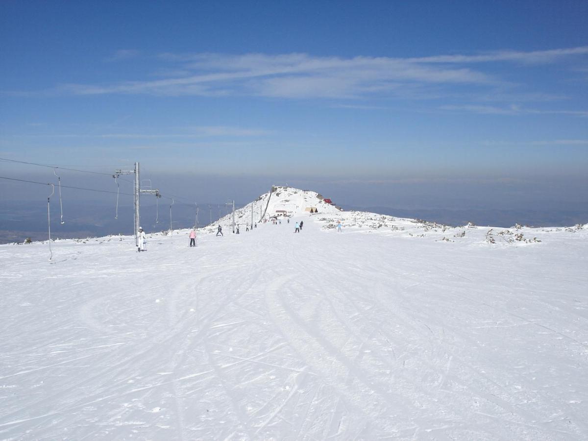 Flora Apartments Tmf Borovets Eksteriør bilde